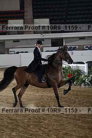 Proof 10r9_1159