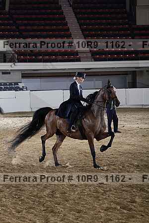 Proof 10r9_1162