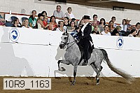 10r9_1163 proof