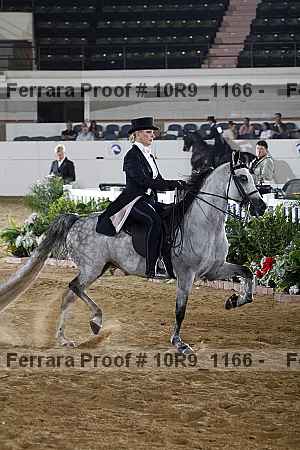 Proof 10r9_1166
