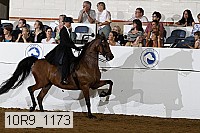 10r9_1173 proof