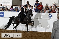 10r9_1174 proof
