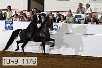 10r9_1176 proof