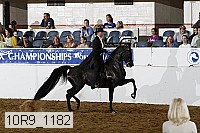 10r9_1182 proof