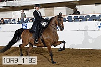 10r9_1183 proof