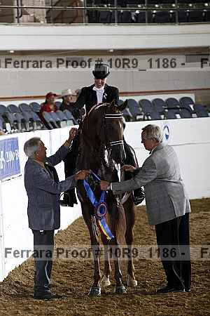 Proof 10r9_1186
