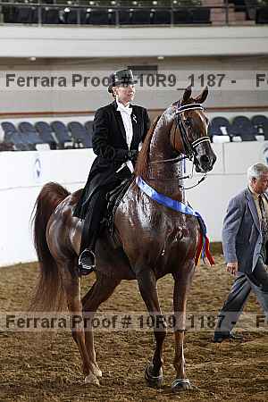 Proof 10r9_1187