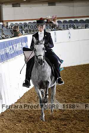 Proof 10r9_1188