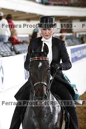 Proof 10r9_1193