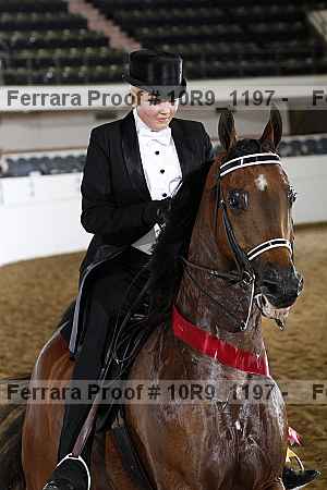 Proof 10r9_1197