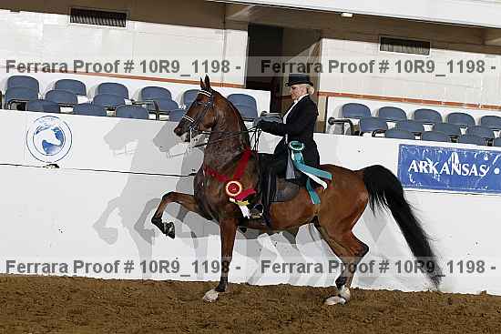 Proof 10r9_1198