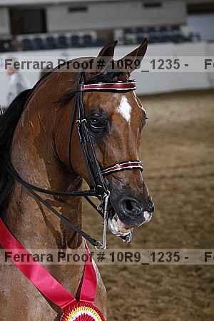 Proof 10r9_1235