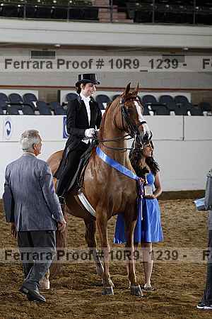 Proof 10r9_1239