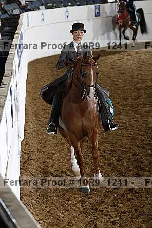 Proof 10r9_1241