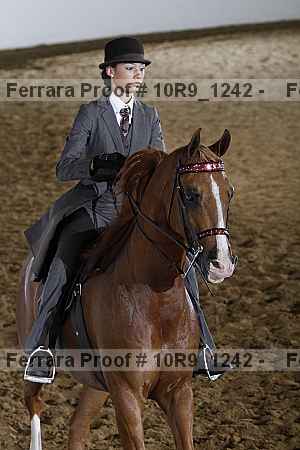 Proof 10r9_1242