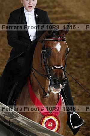 Proof 10r9_1246