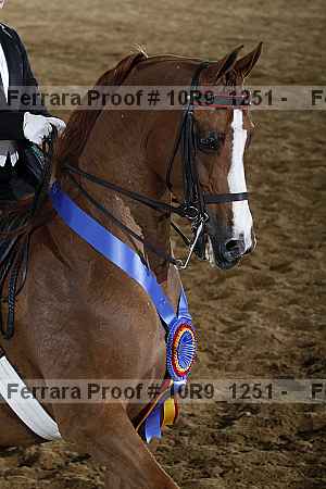 Proof 10r9_1251
