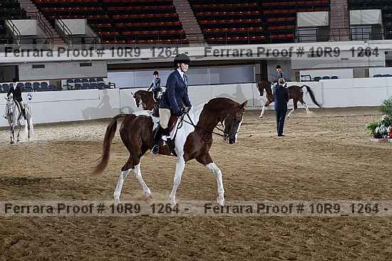 Proof 10r9_1264