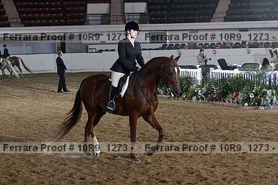 Proof 10r9_1273