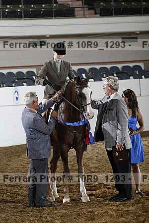 Proof 10r9_1293
