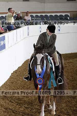 Proof 10r9_1295