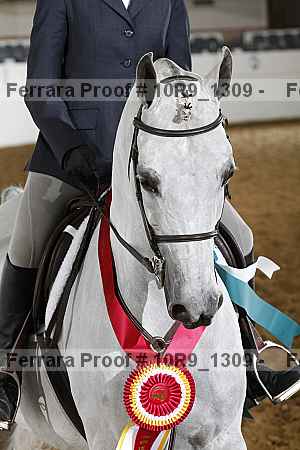 Proof 10r9_1309