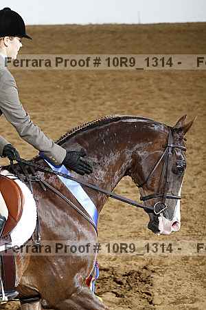 Proof 10r9_1314