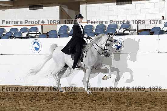 Proof 10r9_1378