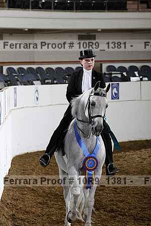 Proof 10r9_1381
