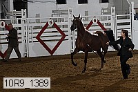 10r9_1389 proof