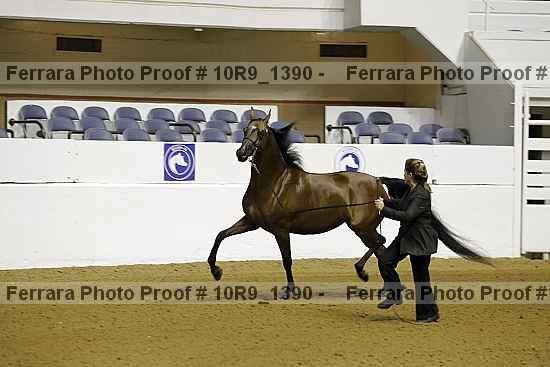 Proof 10r9_1390