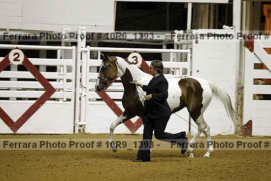 Proof 10r9_1393
