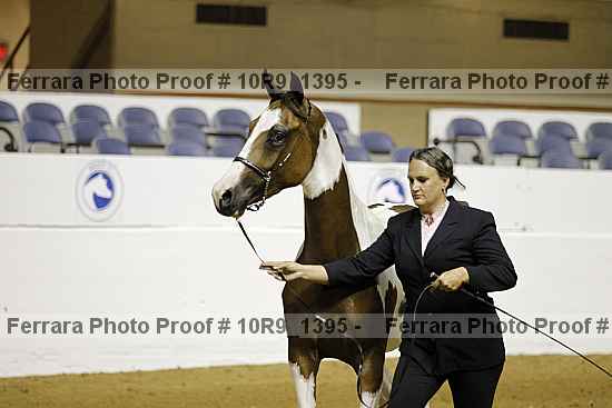 Proof 10r9_1395