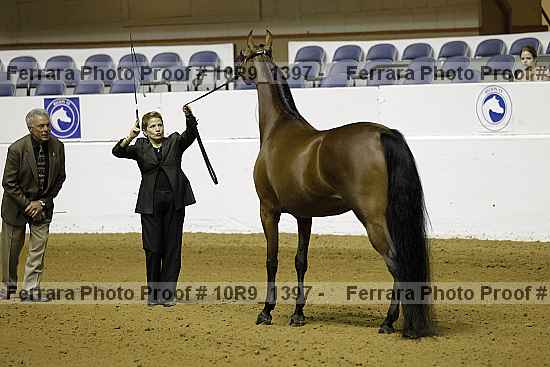 Proof 10r9_1397