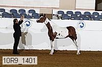 10r9_1401 proof