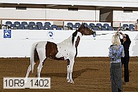 10r9_1402 proof