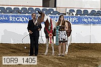 10r9_1405 proof