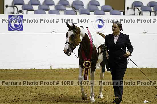 Proof 10r9_1407