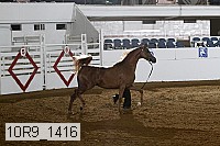 10r9_1416 proof