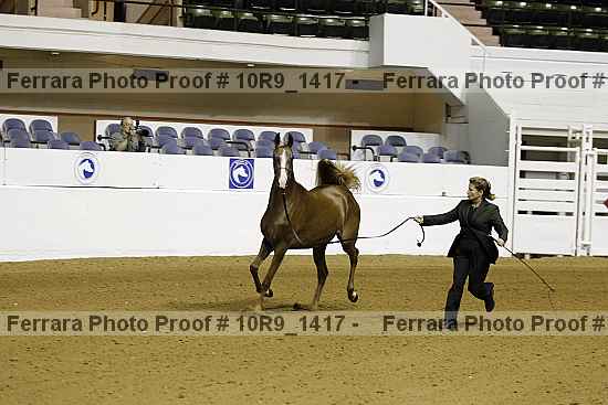 Proof 10r9_1417
