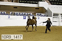 10r9_1417 proof