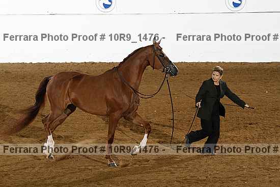 Proof 10r9_1476