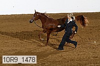 10r9_1478 proof