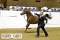 10r9_1481 proof