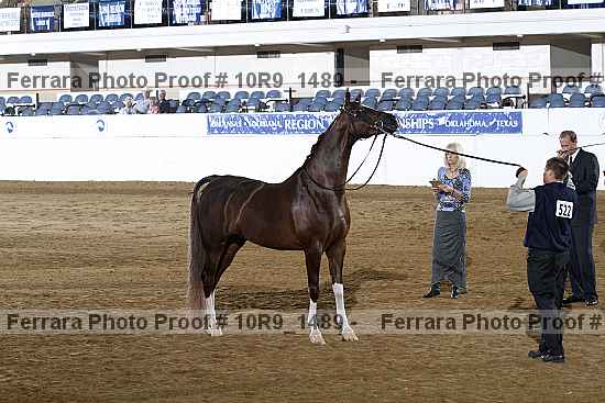 Proof 10r9_1489