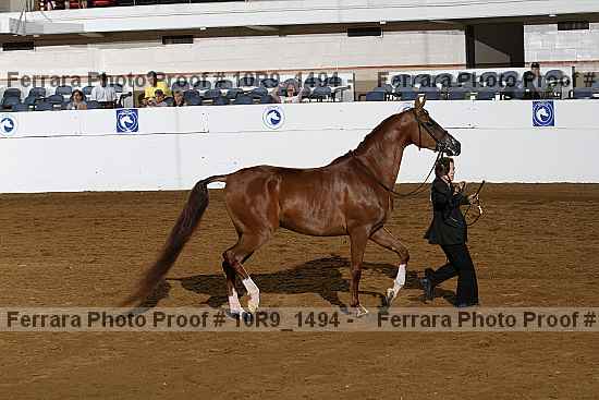 Proof 10r9_1494