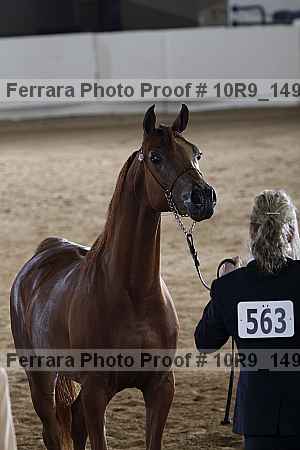 Proof 10r9_1495