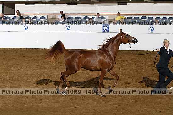 Proof 10r9_1497