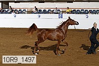 10r9_1497 proof