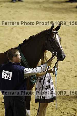 Proof 10r9_1506